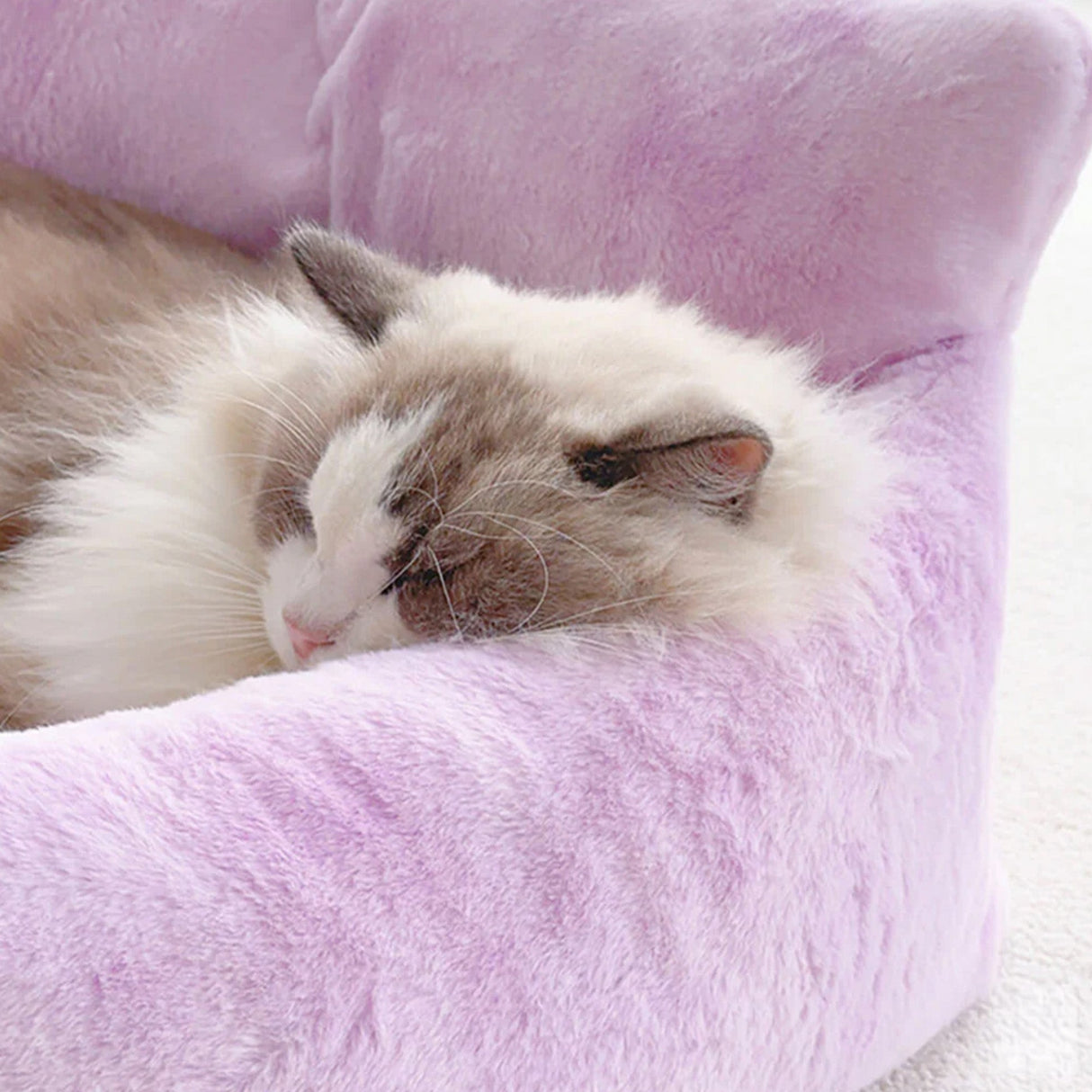 Fantasifull Regnbue Hundesofa med Støtte