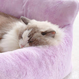 Fantasifull Regnbue Hundesofa med Støtte