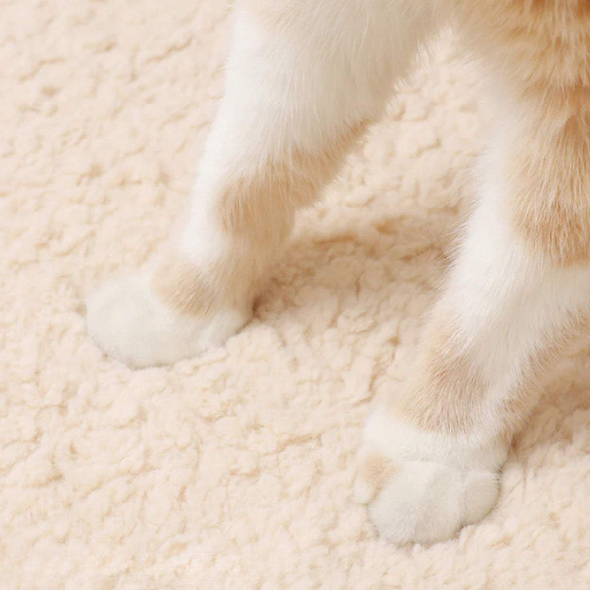 Nordisk Ortopedisk Katt- og Hundeseng i Plysj