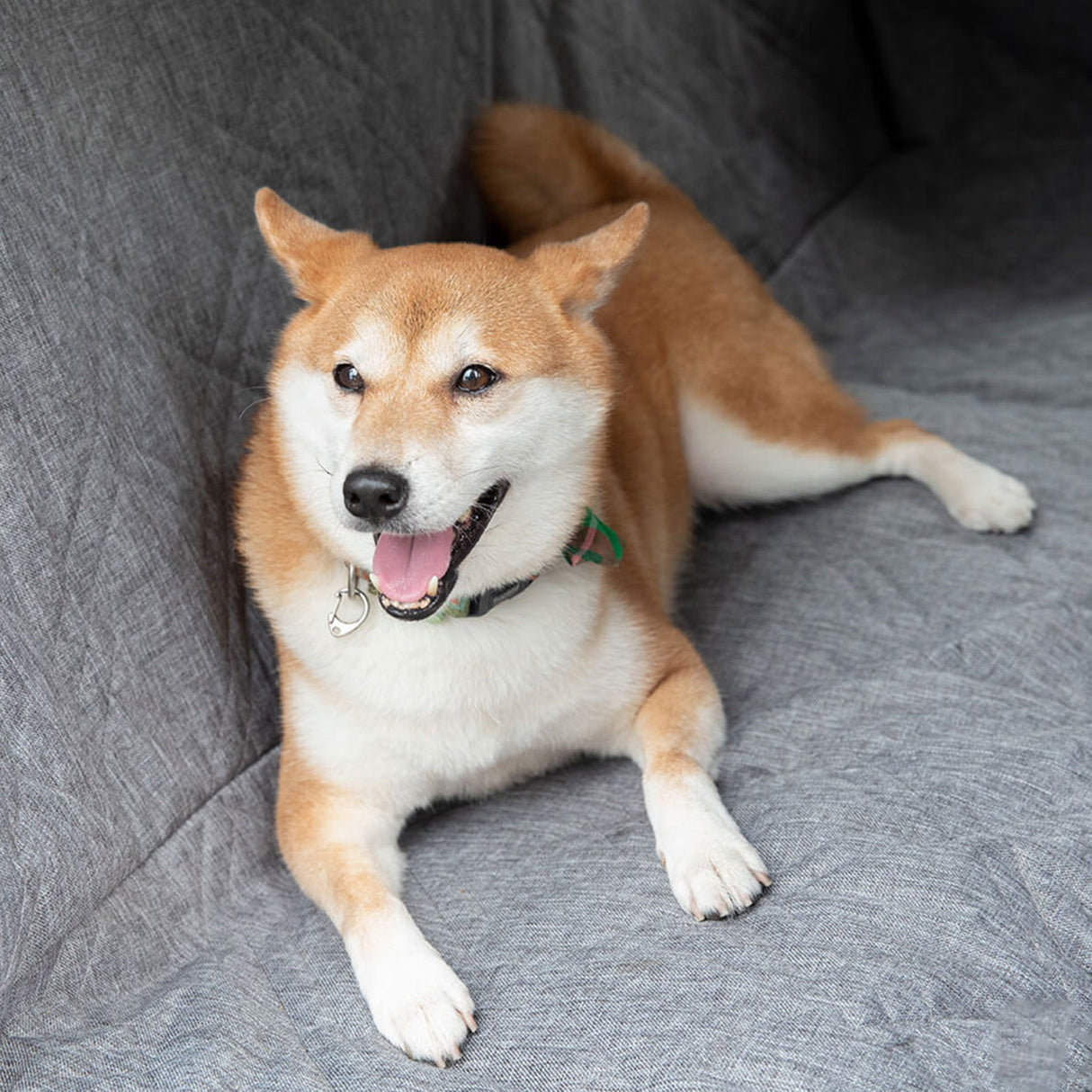 Nordisk Hundebilsete Dekke med Ripesikker Design