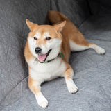 Nordisk Hundebilsete Dekke med Ripesikker Design