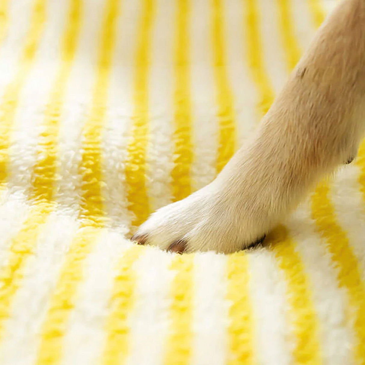 Nordisk Ortopedisk Hundesofa med Vaskbar Pute