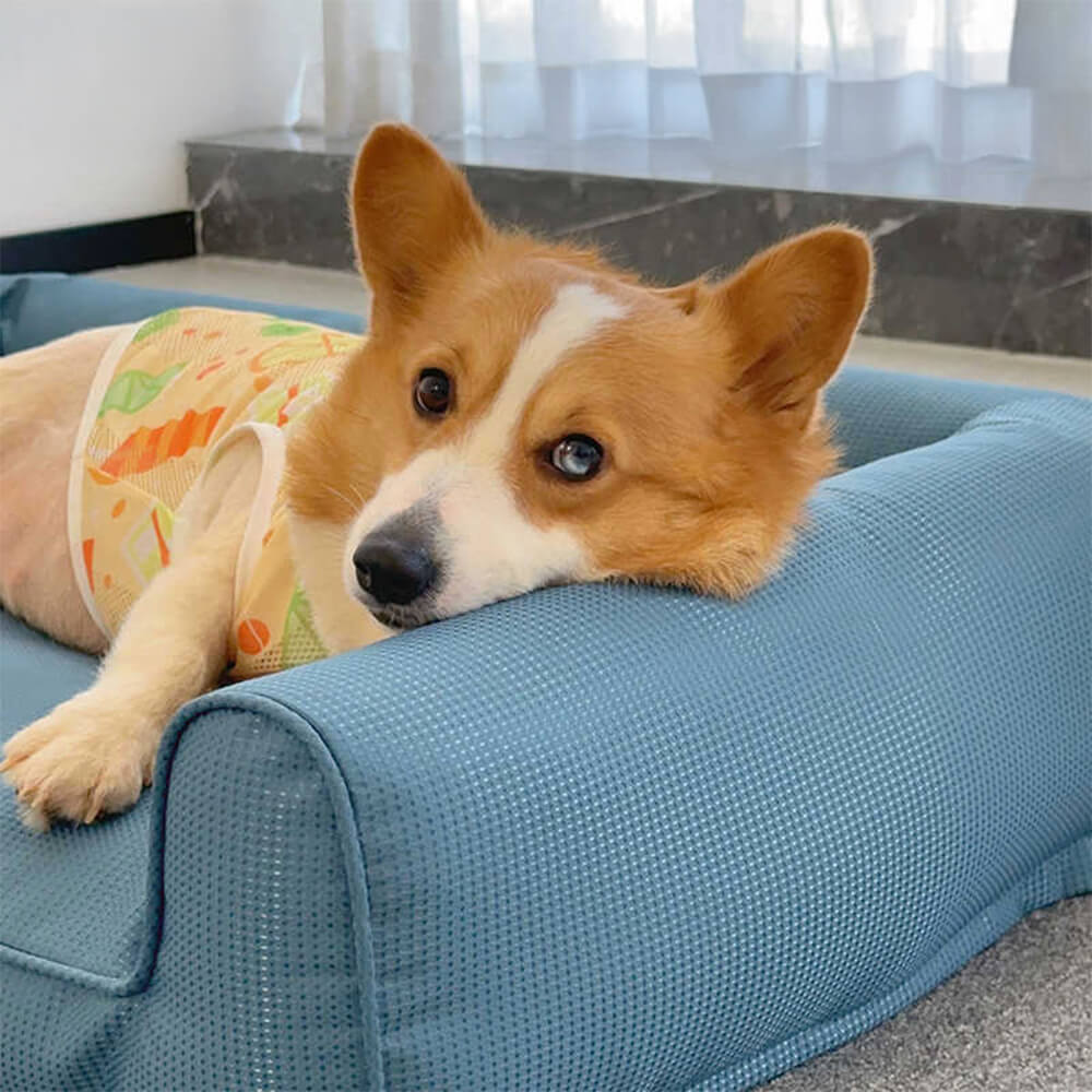 Nordisk Ortopedisk Hundeseng med Vanntett Design