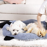 Koselig Sau-Designet Katt- og Hundeseng i Bomullssammet